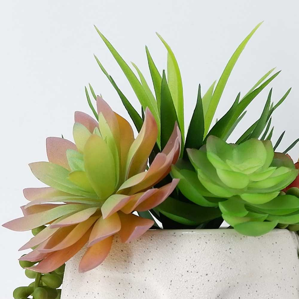 MC20-8798P 10＂H Mixed succulent