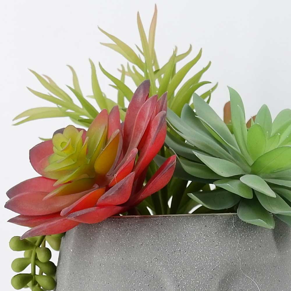 MC20-8799P 10＂H Mixed succulent