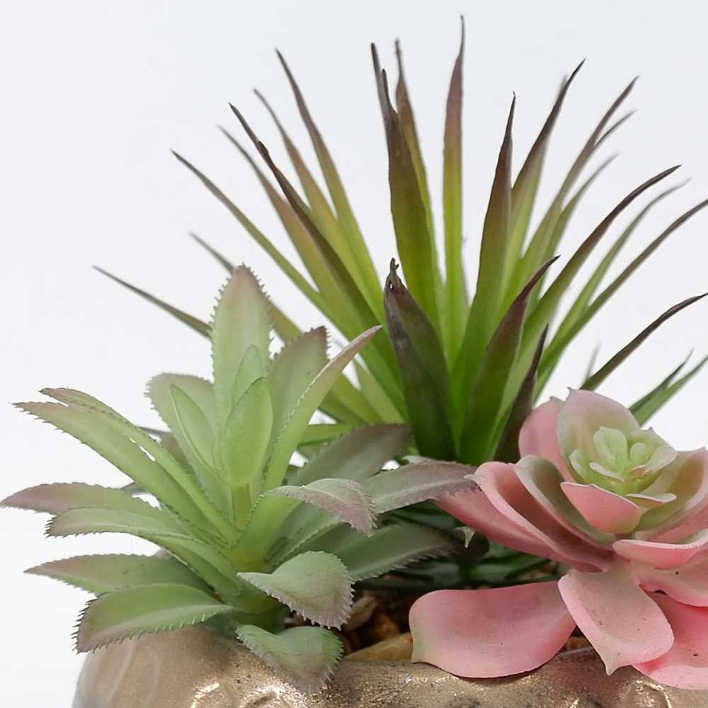 MC21-9975P 7＂H Mixed succulent