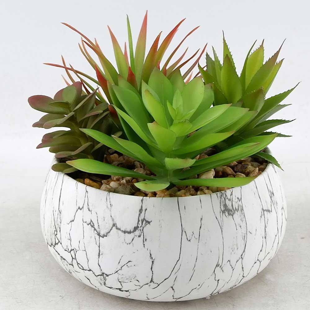 MC21-10065P 8.5＂H Mixed succulent