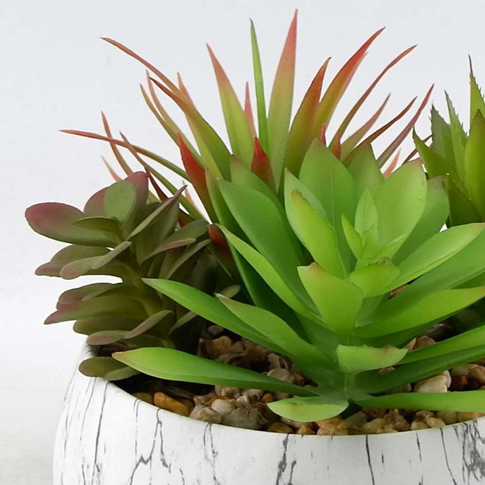 MC21-10065P 8.5＂H Mixed succulent