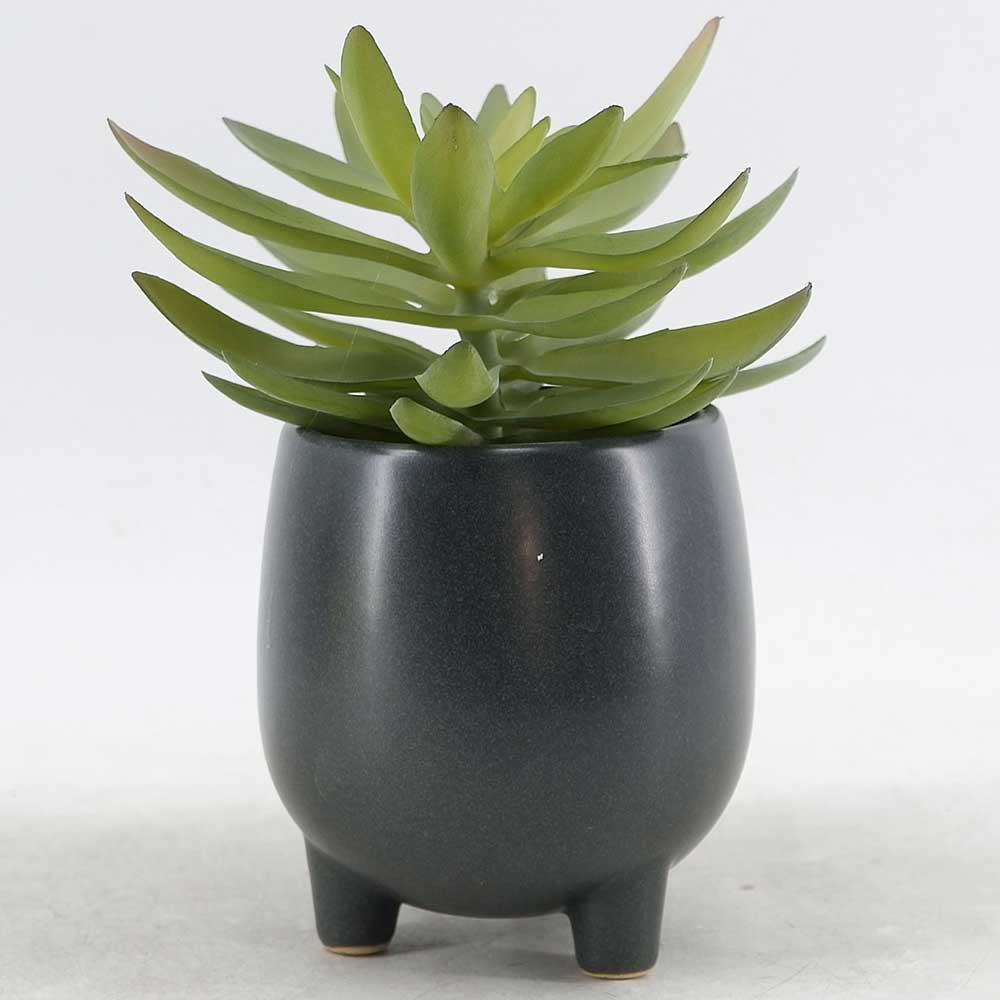 MC21-10728P 8＂H Succulent