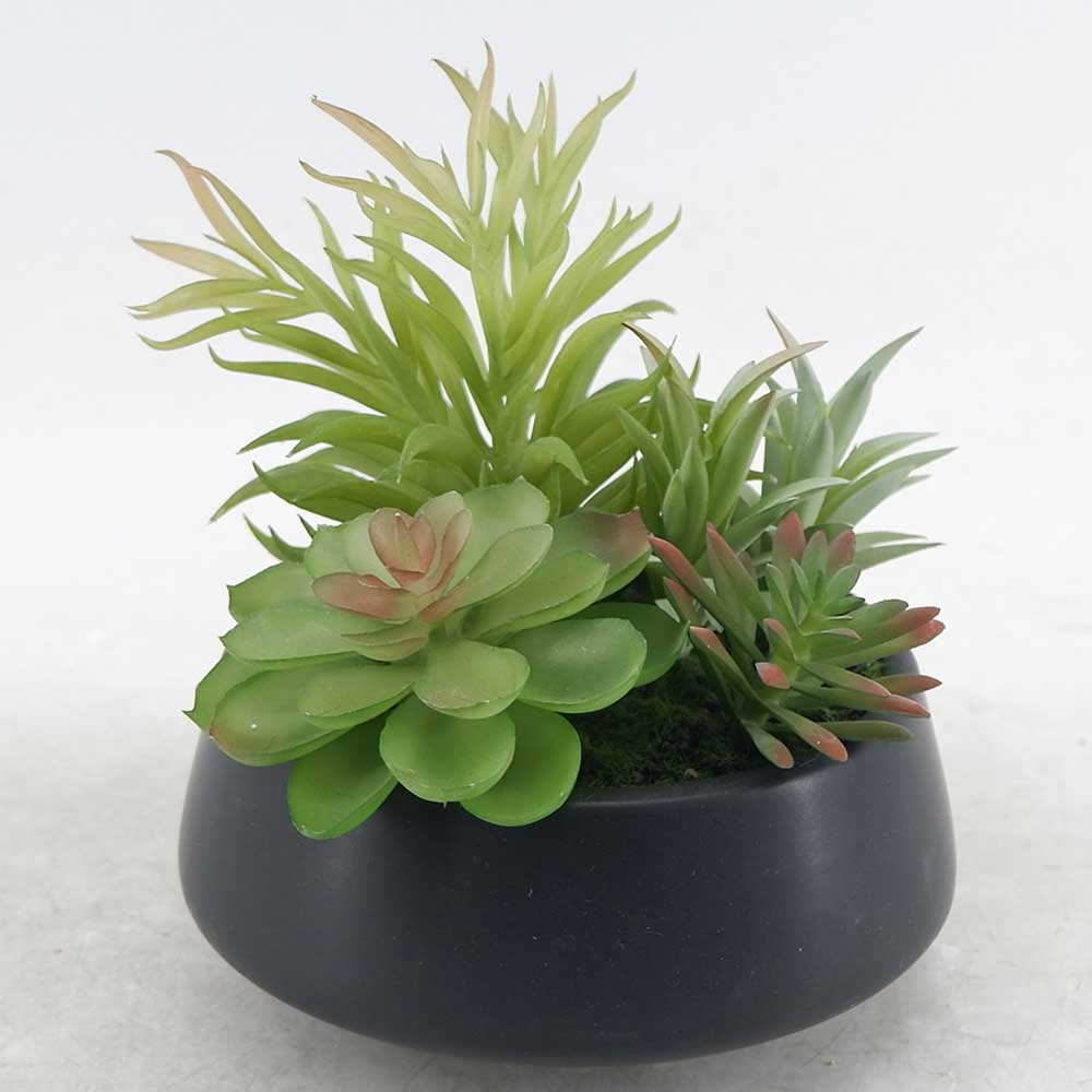 MC21-10813P 8＂H Mixed succulent