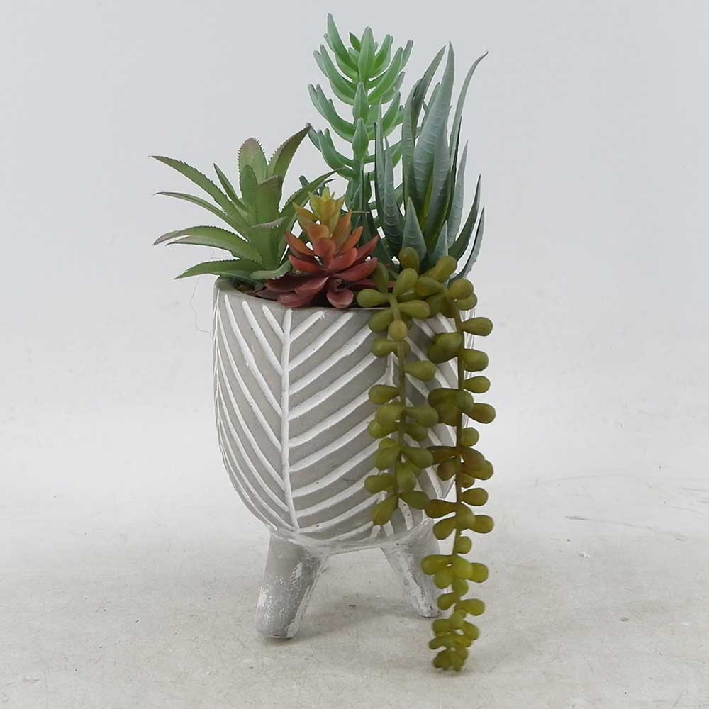 MC21-11000S 10.25＂H Mixed succulent