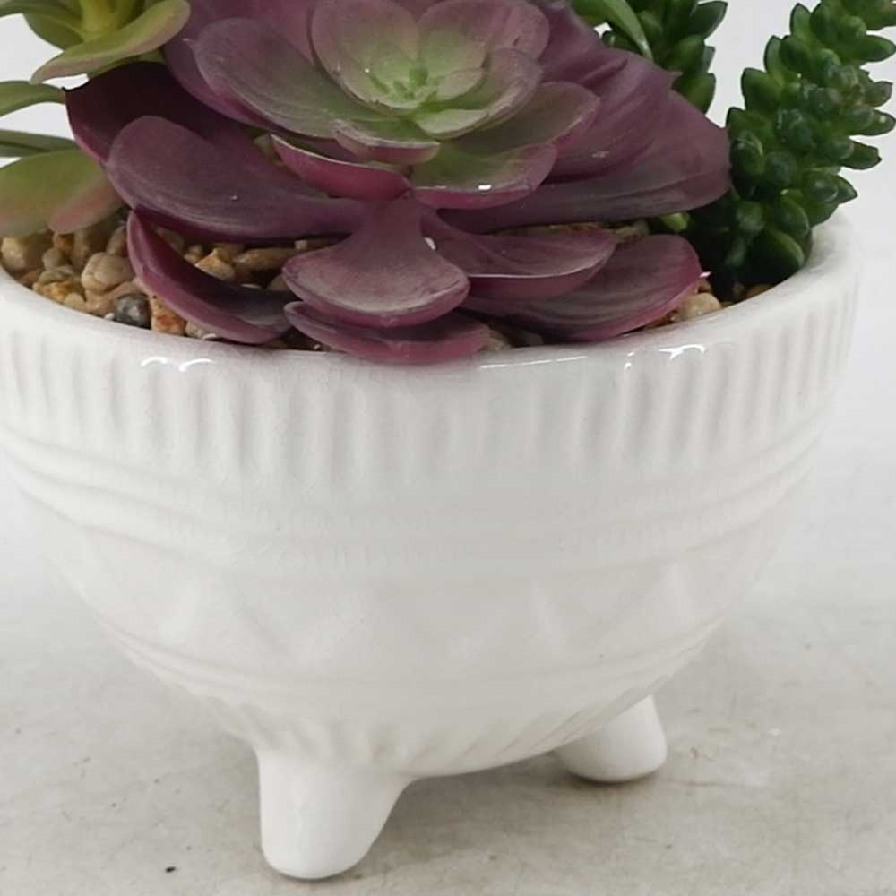 MC21-11005P 8.5＂H Succulent