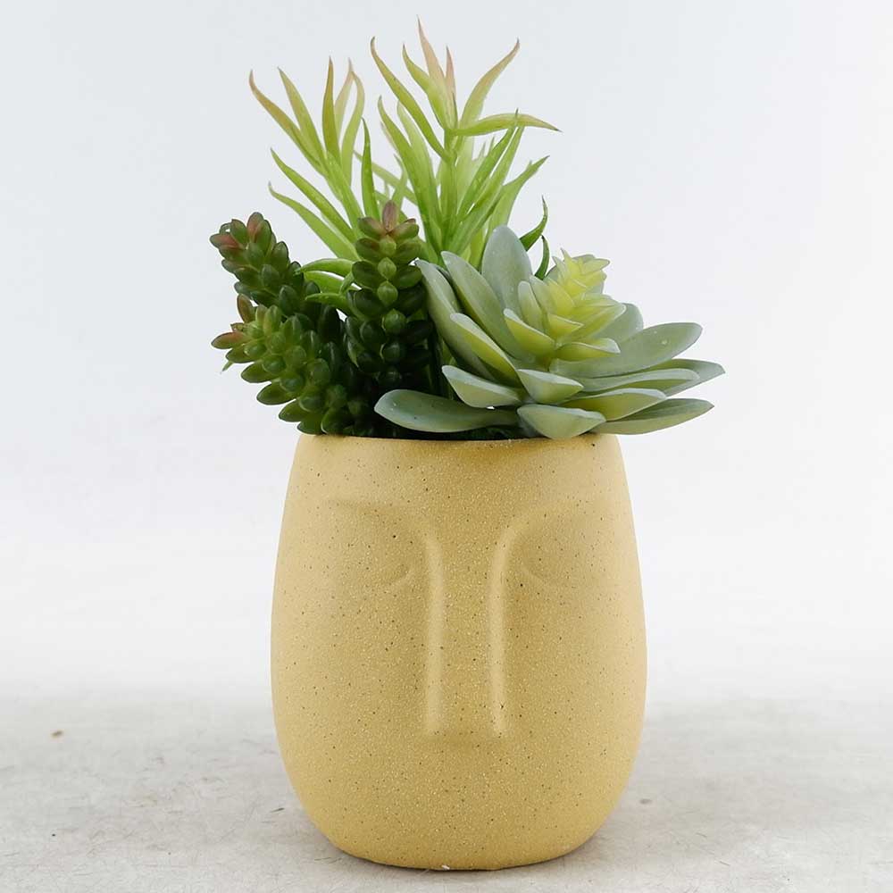 MC22-12024P 9＂H Succulent