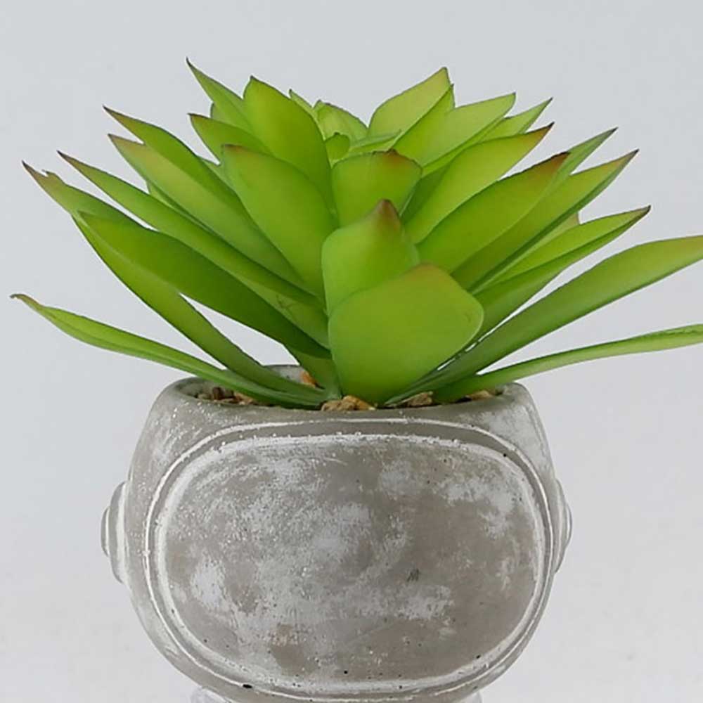 MC22-12096S 11＂H Succulent