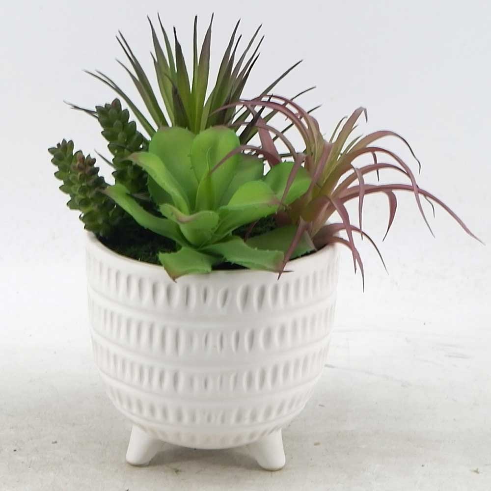 MC21-11044P 9.5＂H Succulent