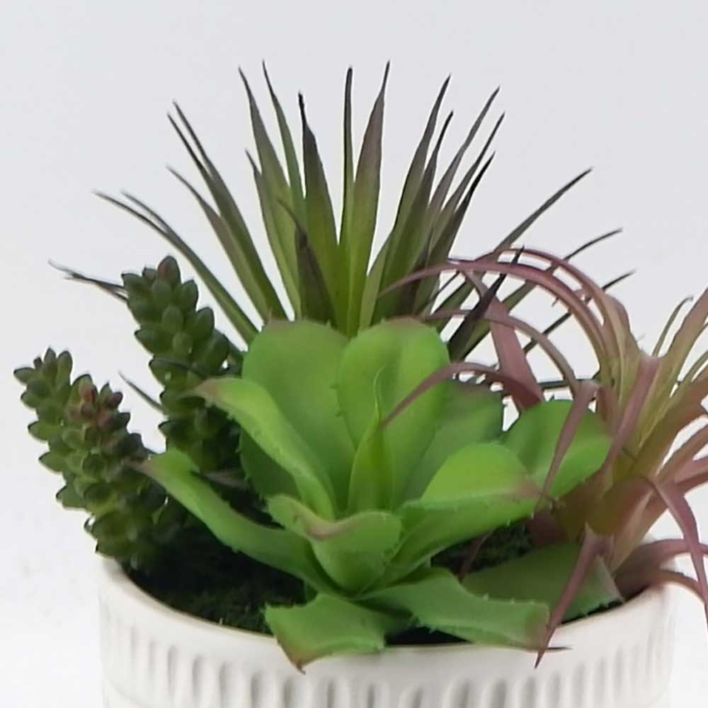 MC21-11044P 9.5＂H Succulent