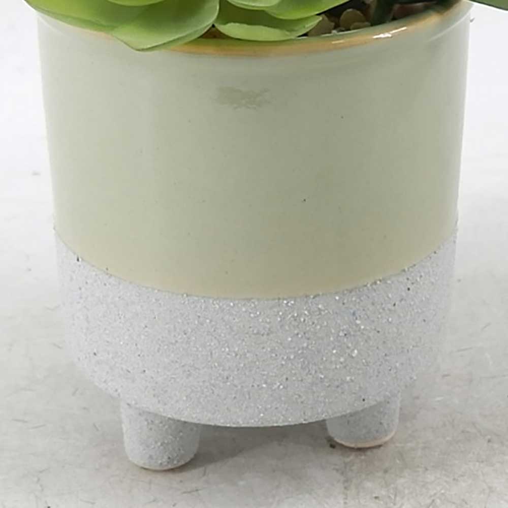 MC21-11309P 8.5＂H Succulent