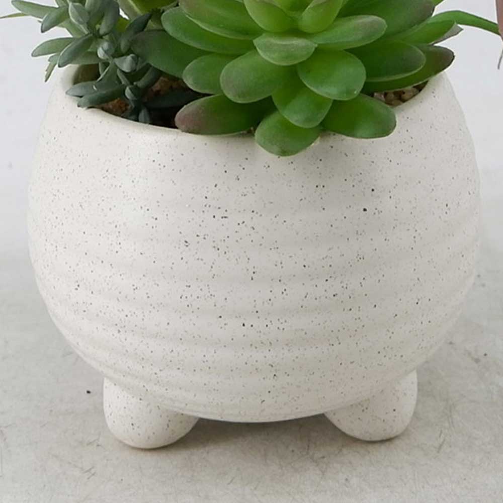 MC21-11557P 8＂H Succulent