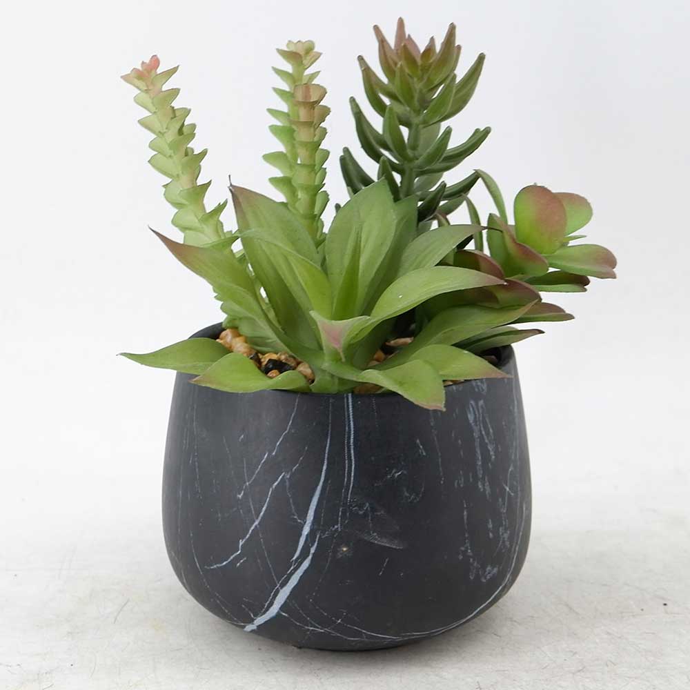 MC21-11627P 8＂H Succulent