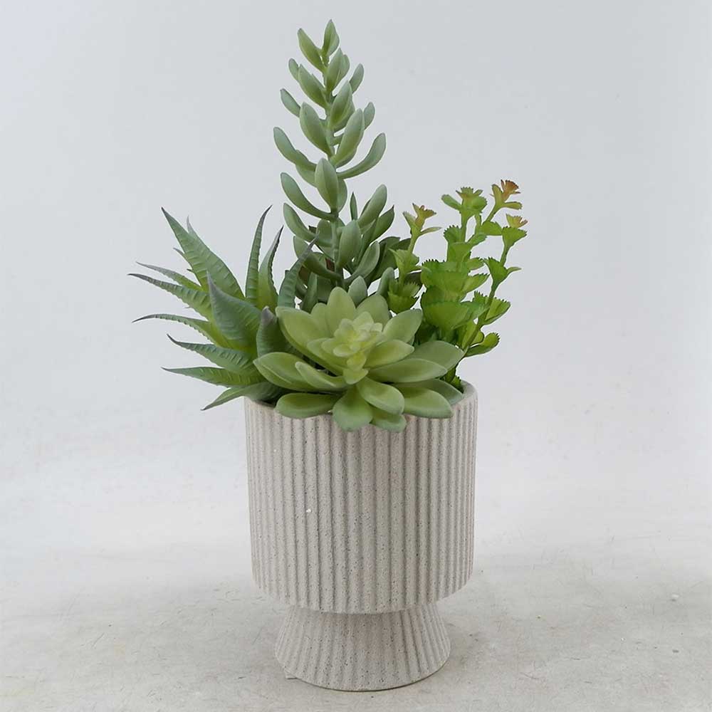 MC22-12091P 13.75＂H Succulent