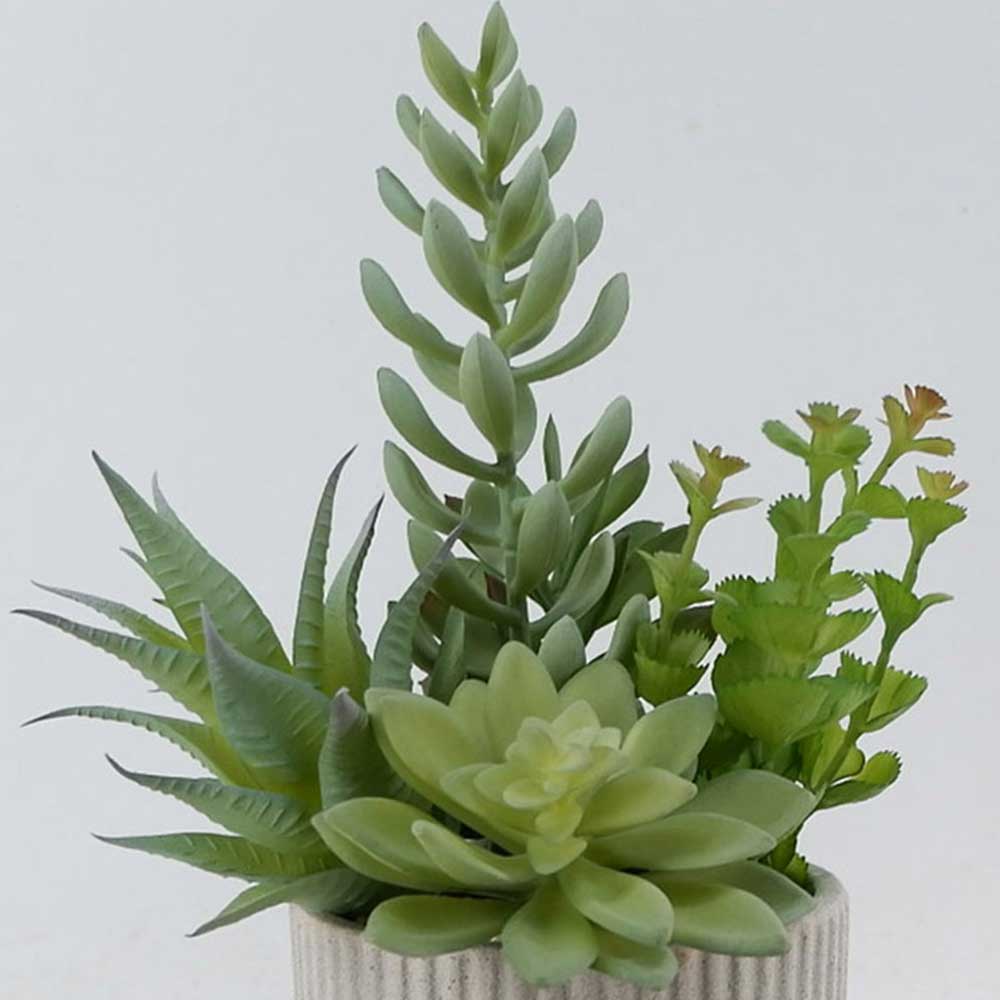 MC22-12091P 13.75＂H Succulent