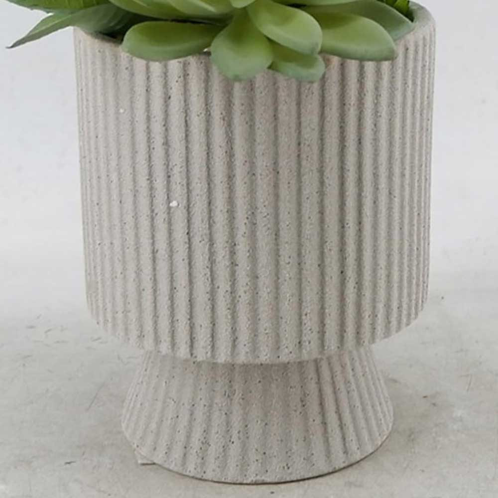 MC22-12091P 13.75＂H Succulent