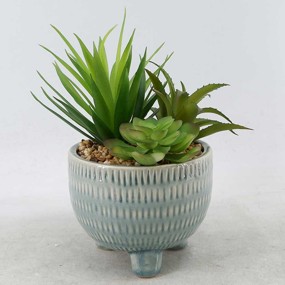 MC22-12098P 9＂H Succulent