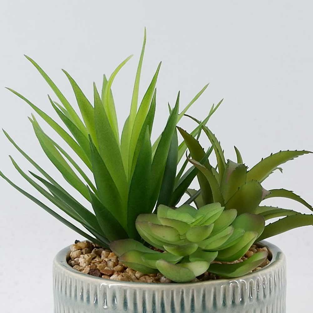 MC22-12098P 9＂H Succulent