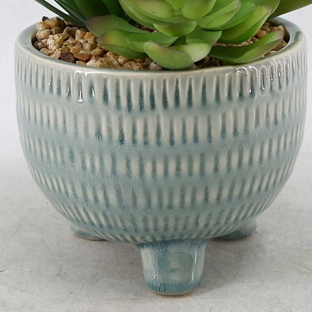 MC22-12098P 9＂H Succulent