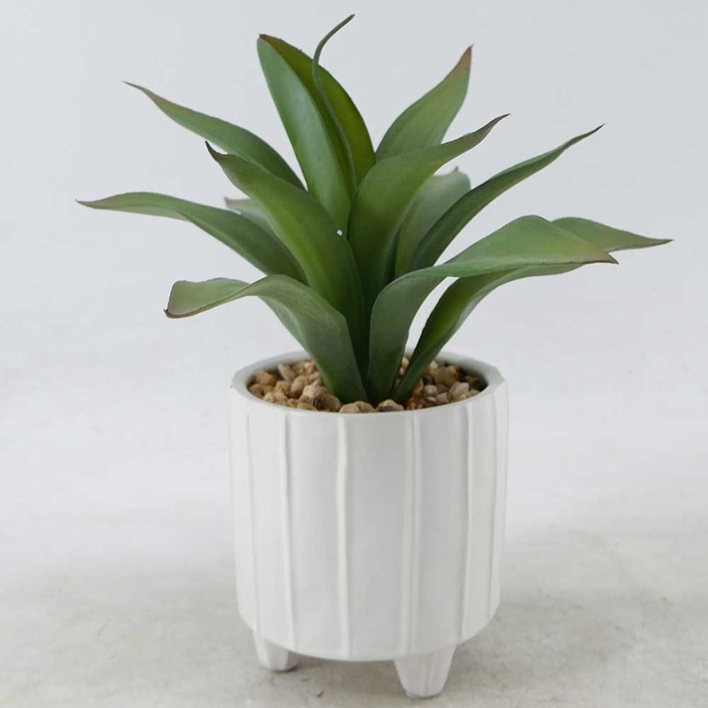 MC22-12246P 9.5＂H Aloes