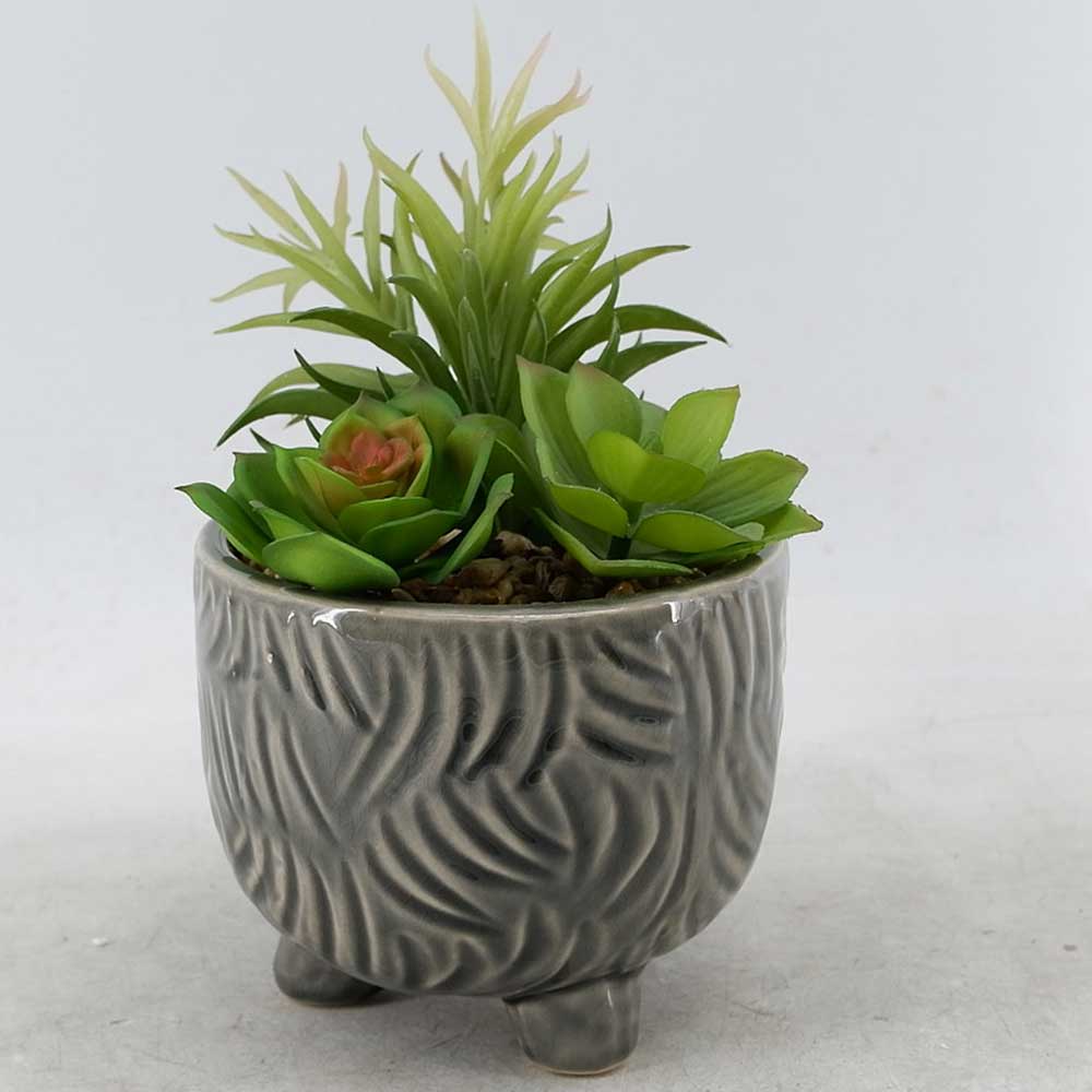 MC22-12230P 9＂H Succulent