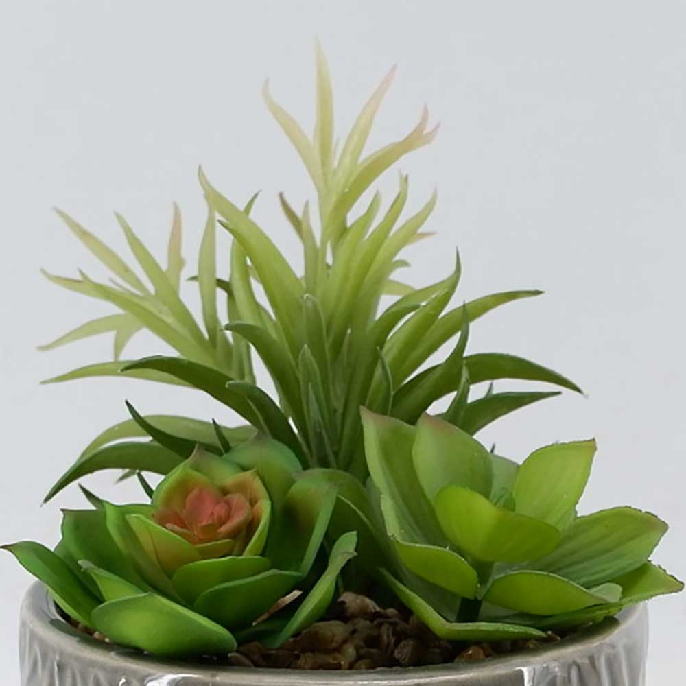 MC22-12230P 9＂H Succulent