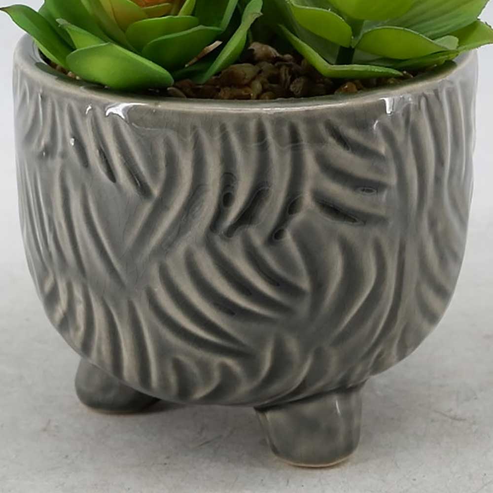 MC22-12230P 9＂H Succulent