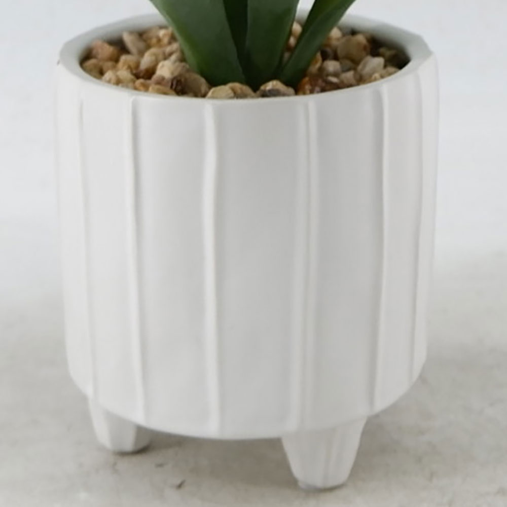 MC22-12246P 9.5＂H Aloes