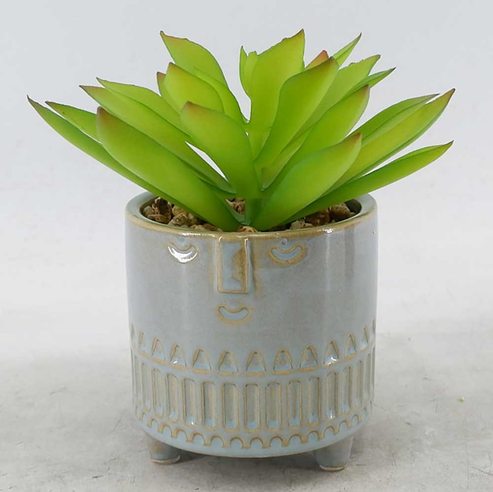 MC22-12280P 6＂H Succulent