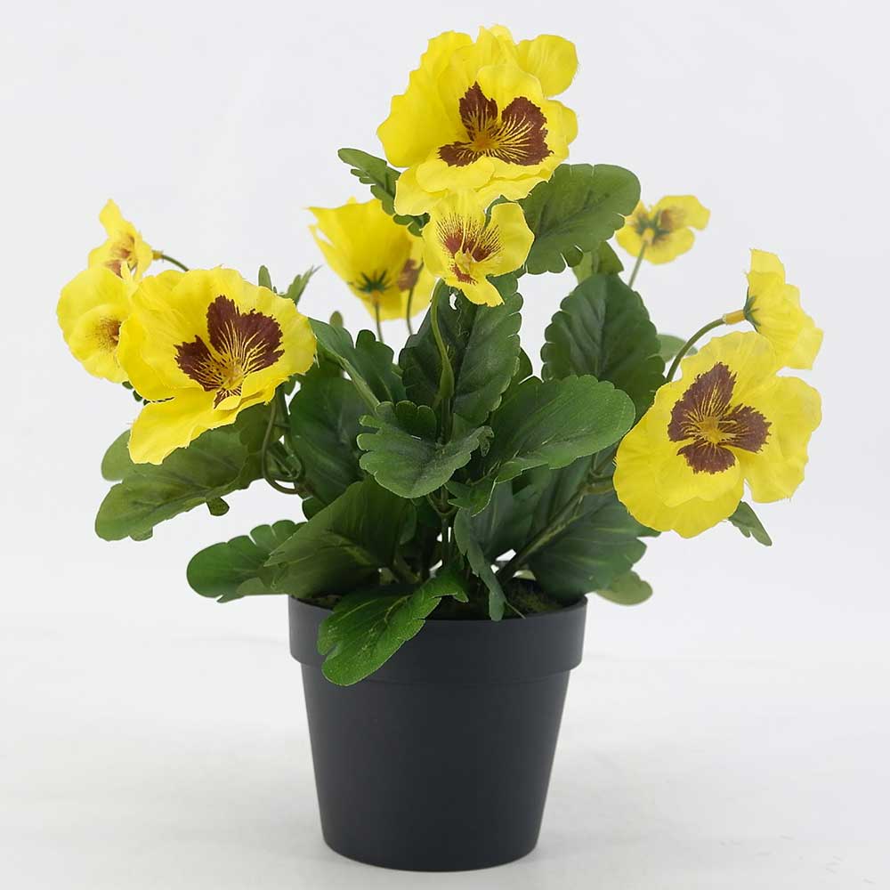 MC19-7526J-YL Pansy