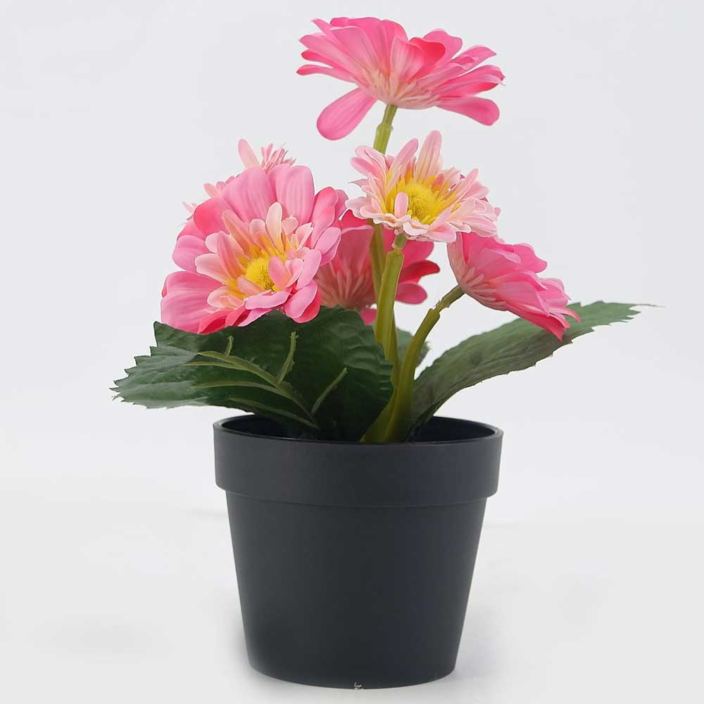 MC20-9260J Pink Gerbera