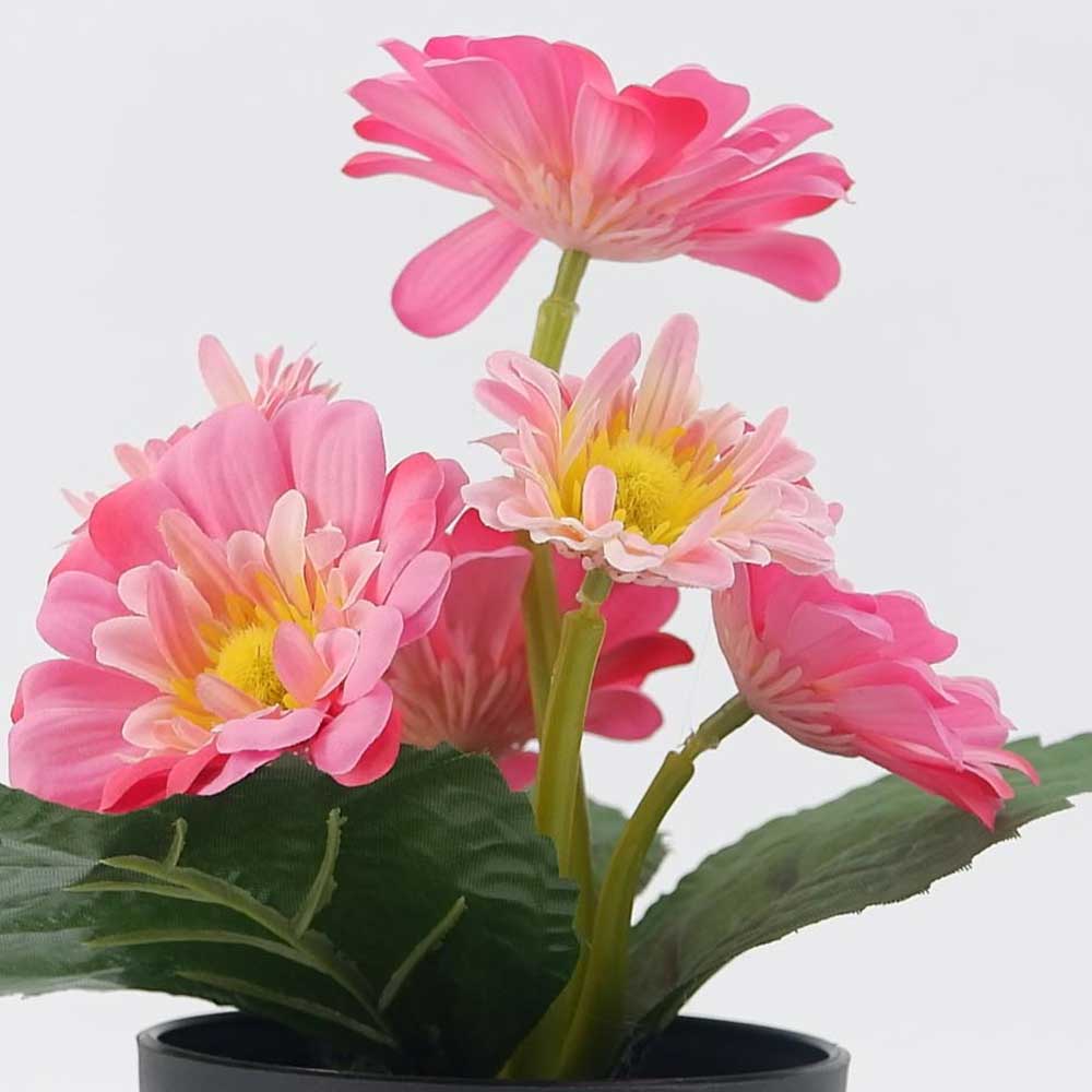 MC20-9260J Pink Gerbera