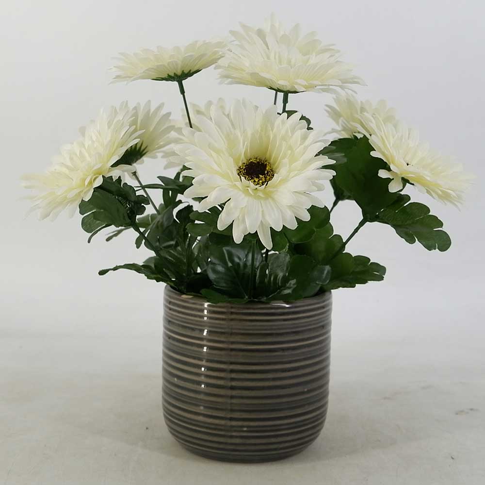 MC19-7533P 12＂H White chrysanthemum