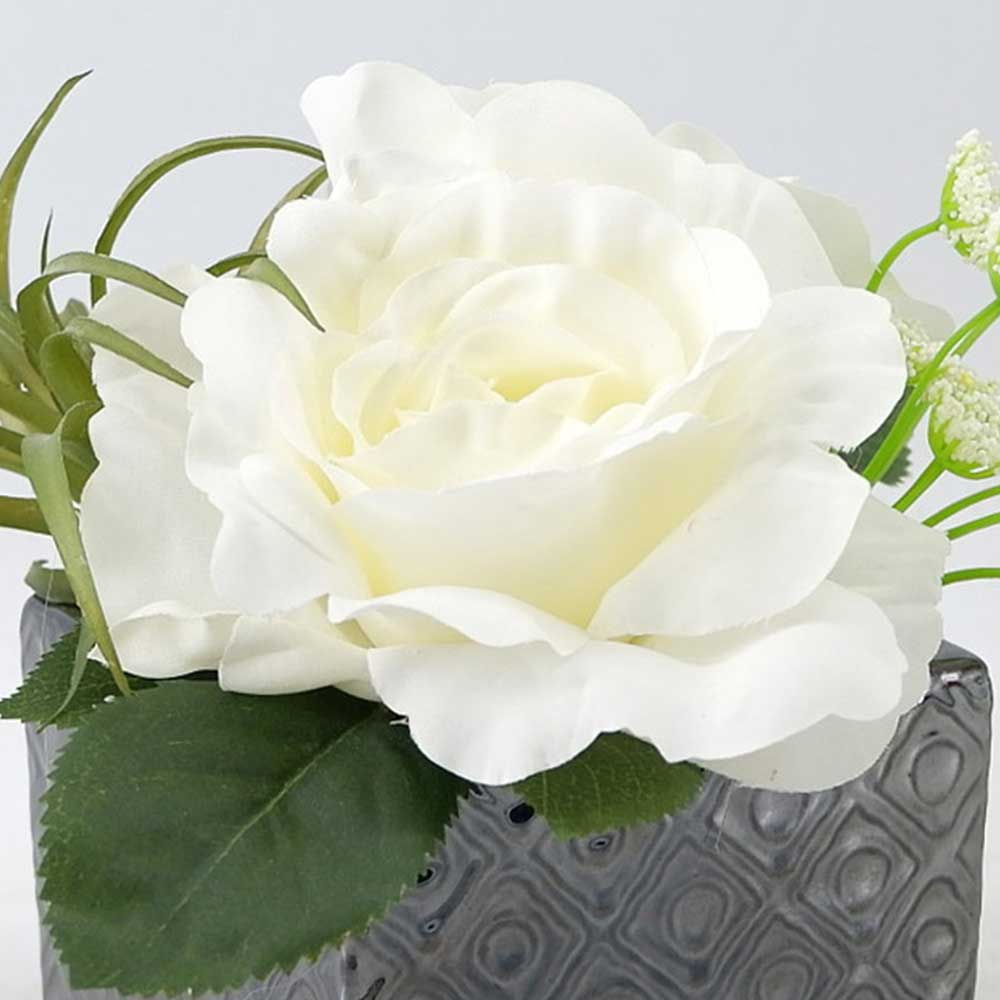 MC21-11640P 7.5＂H White rose