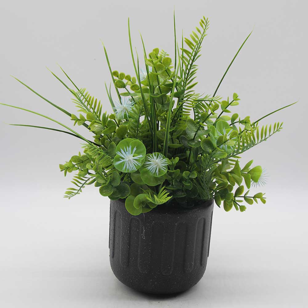 MC0018 Potted Grass