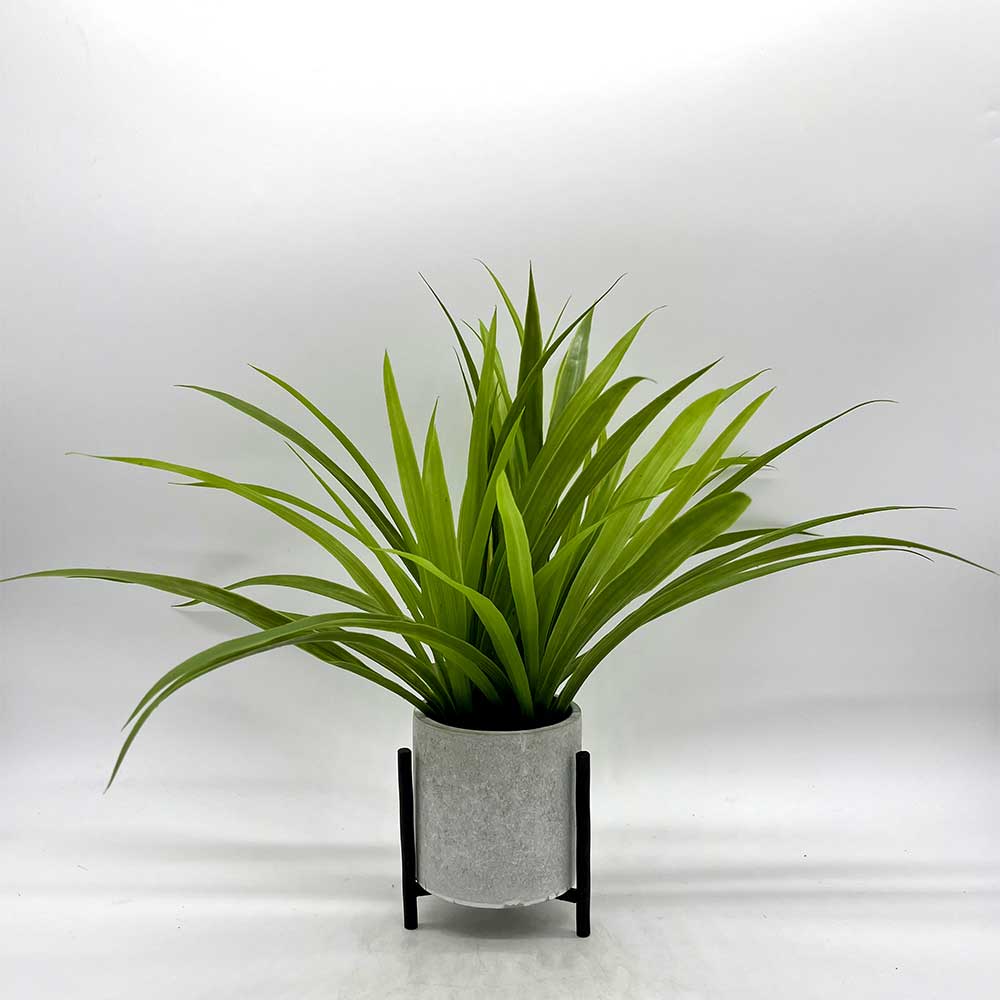 MC0847 Potted Grass