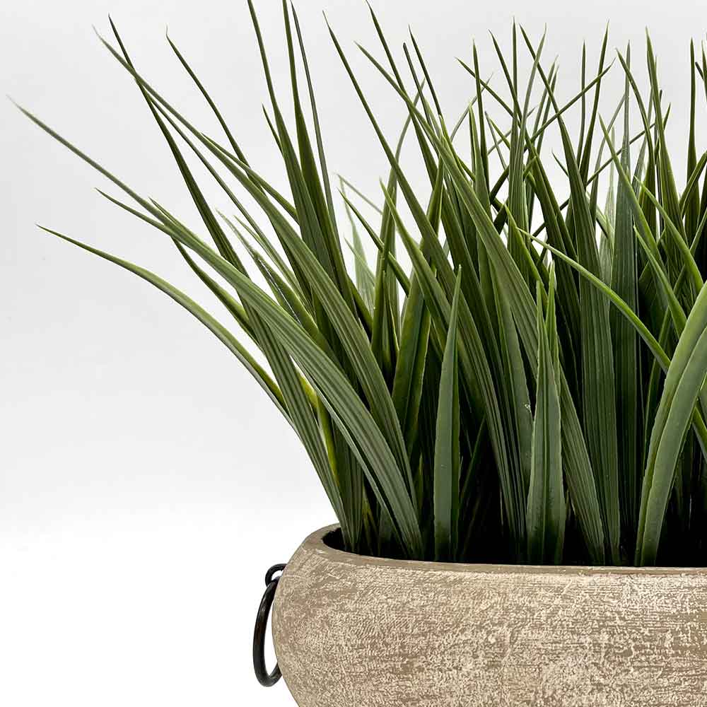 MC0484 Potted Grass