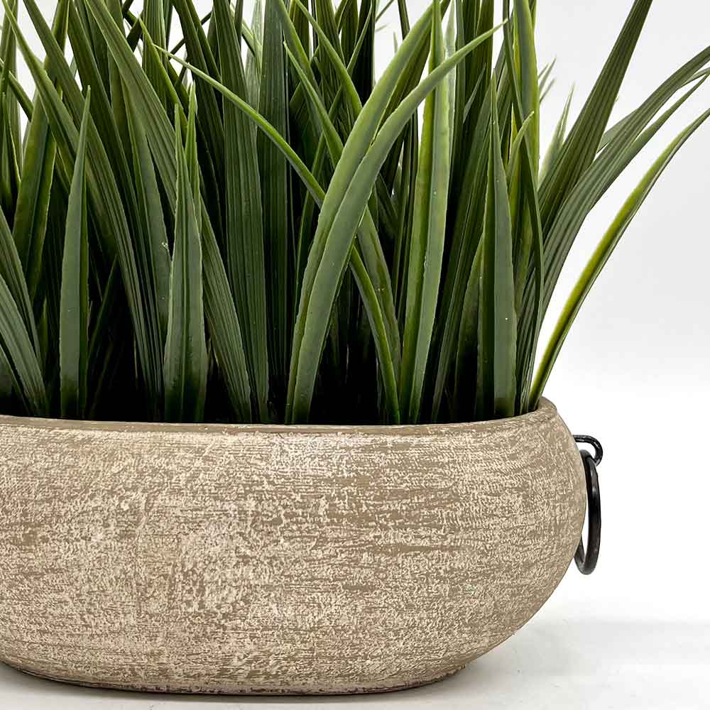 MC0484 Potted Grass