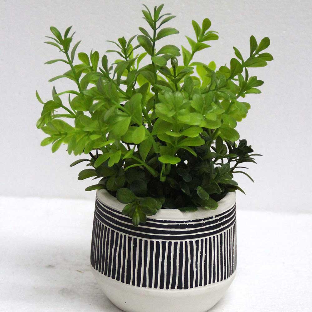 MC2794 Potted Grass