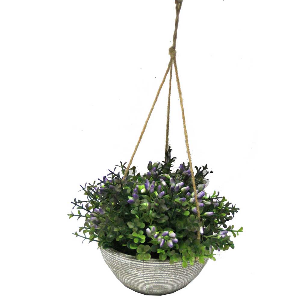 MC2475 Hanging Potted Grass