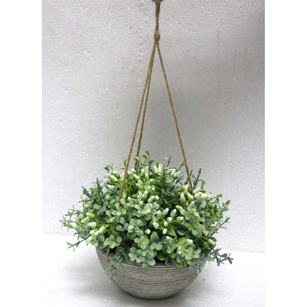 MC2475 Hanging Potted Grass