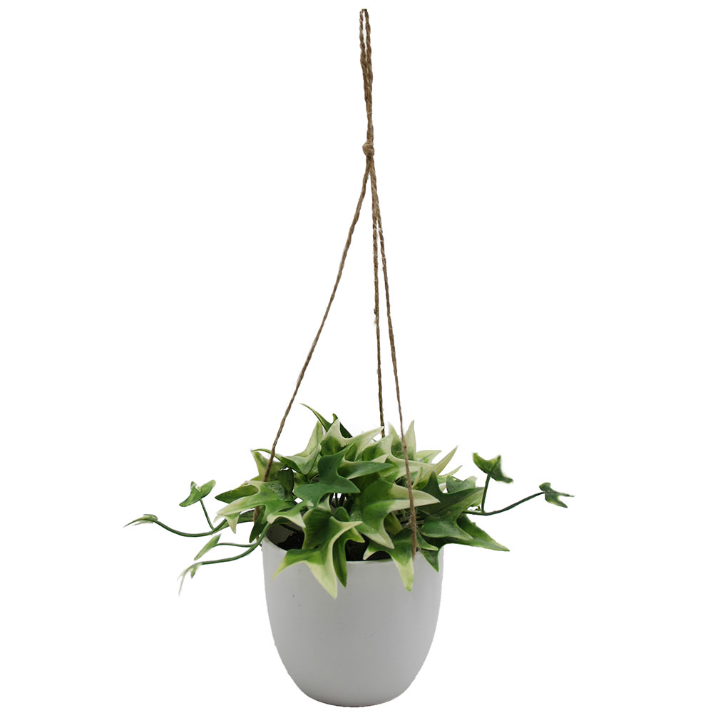 MC3054 Hanging Potted Grass