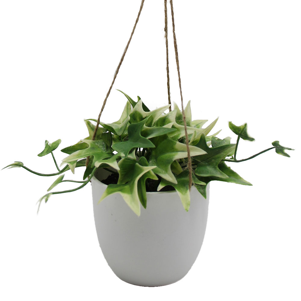 MC3054 Hanging Potted Grass