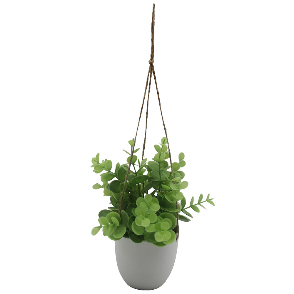 MC3056 Hanging Potted Grass