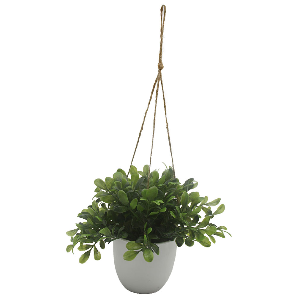 MC3058 Hanging Potted Grass