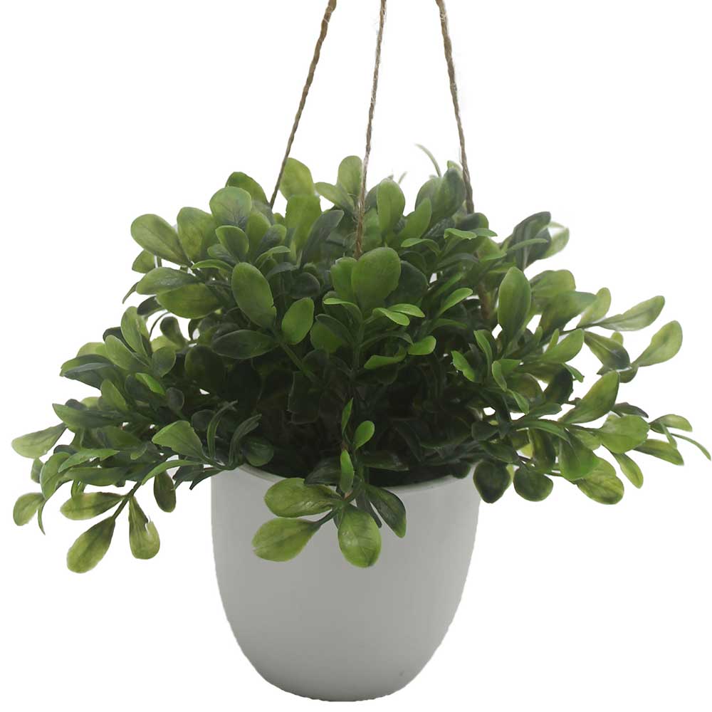 MC3058 Hanging Potted Grass