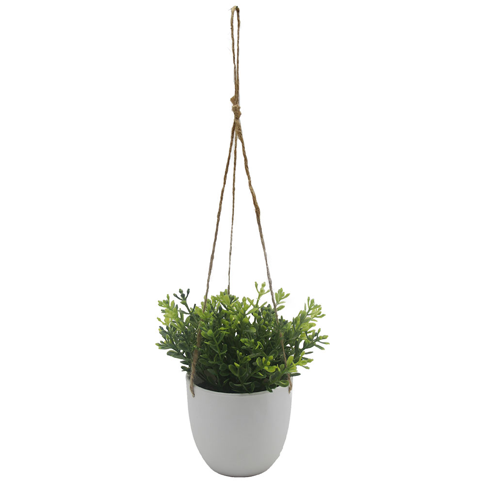 MC3059 Hanging Potted Grass