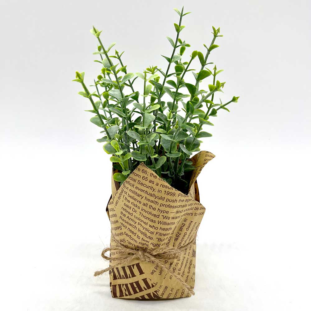 MC3896 Paper Potted Grass