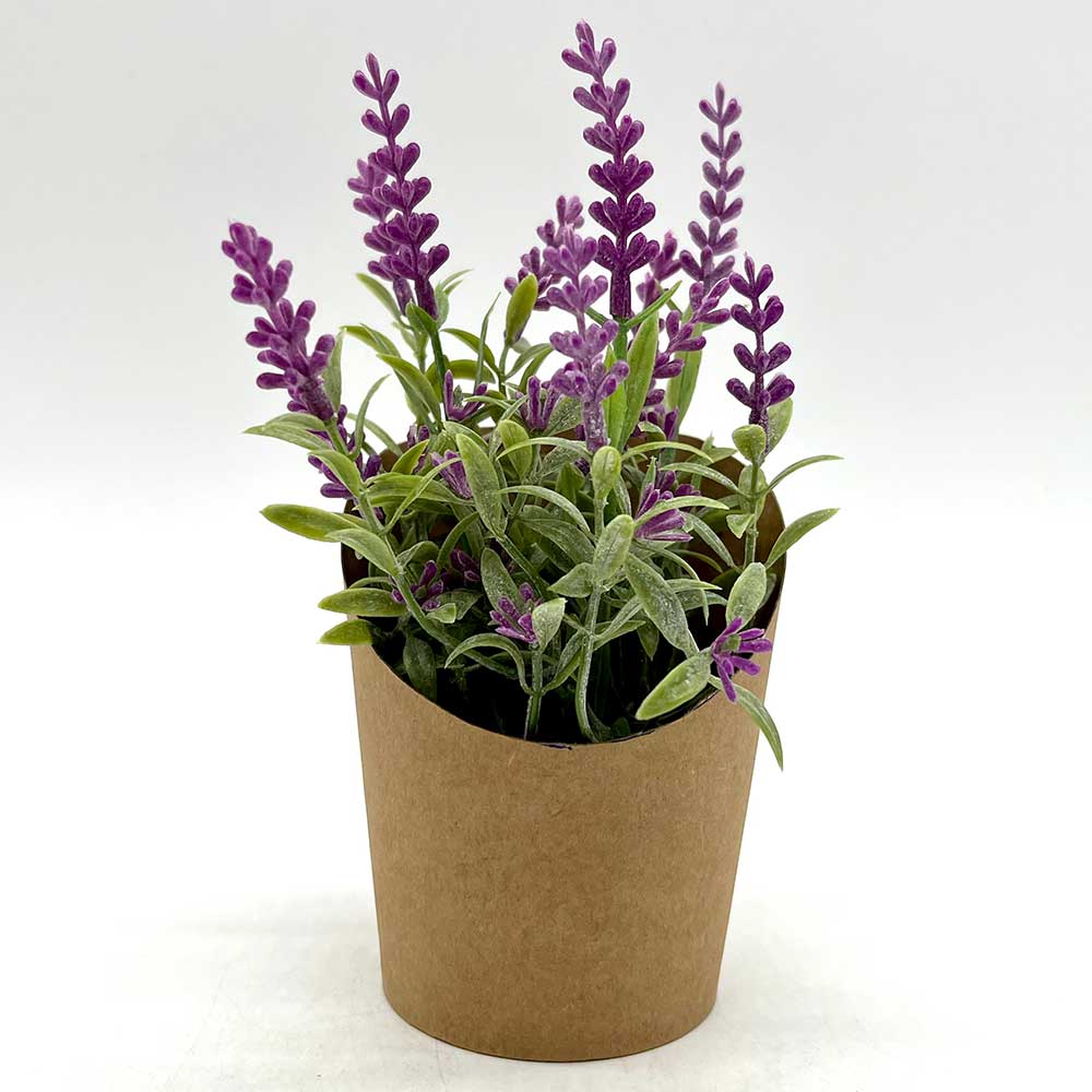 MC3894 Paper Potted Grass