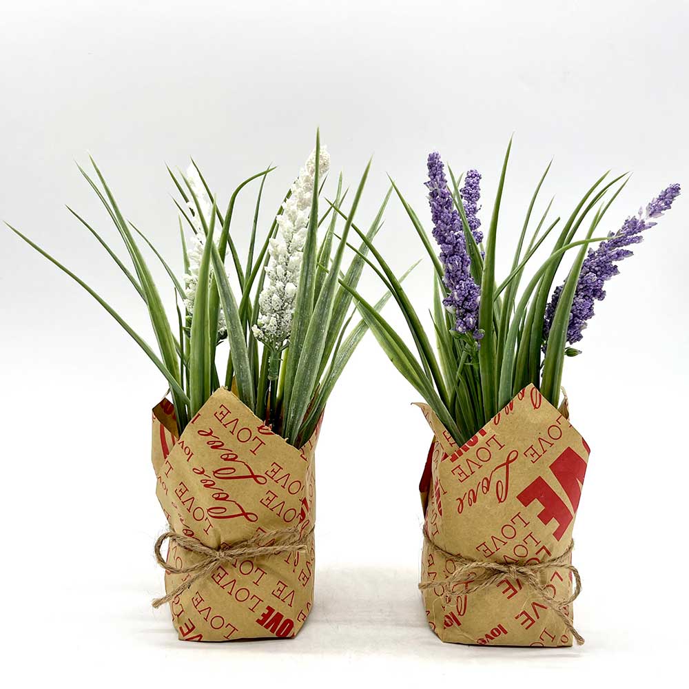 MC3895 Paper Potted Grass