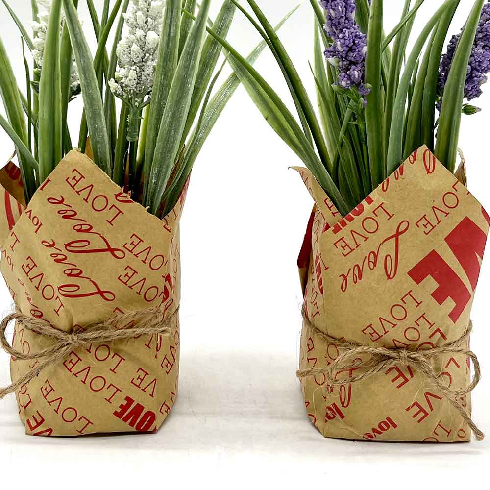 MC3895 Paper Potted Grass